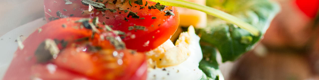 ZACHT BROODJE SALADE DE REIGER CATERING UTRECHT